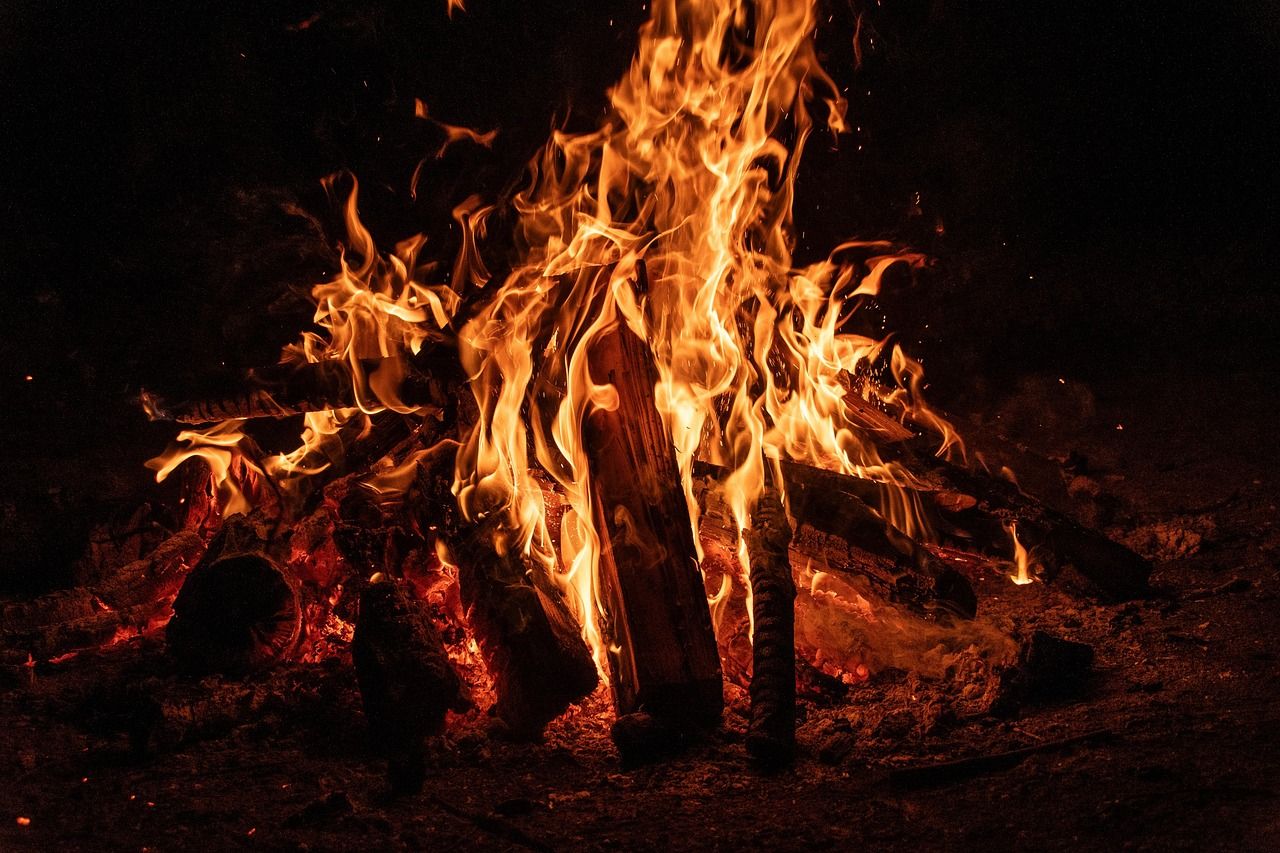 Comment choisir son broyeur de végétaux découvrez notre broyeur de branches performant, idéal pour transformer vos déchets verts en paillis ou compost rapidement et efficacement.
